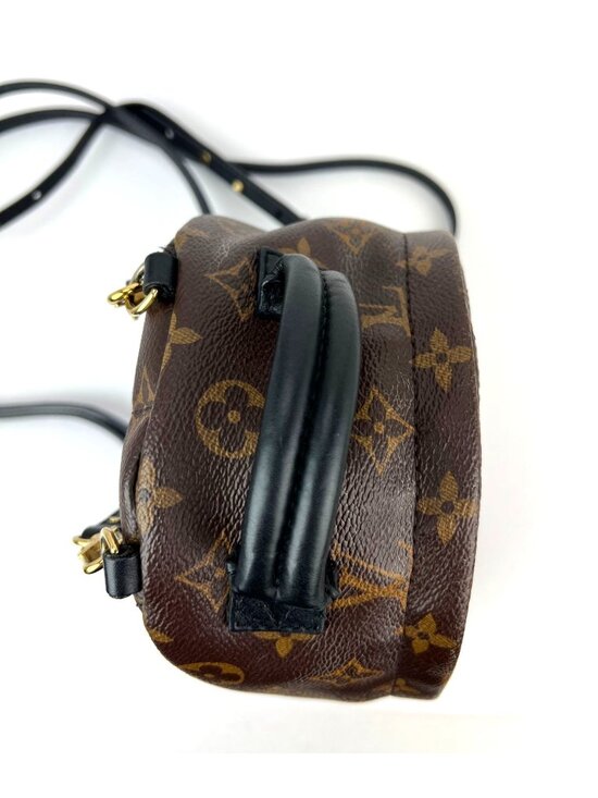 Louis Vuitton Palm Springs Mini Monogram Backpack Bag main image 12